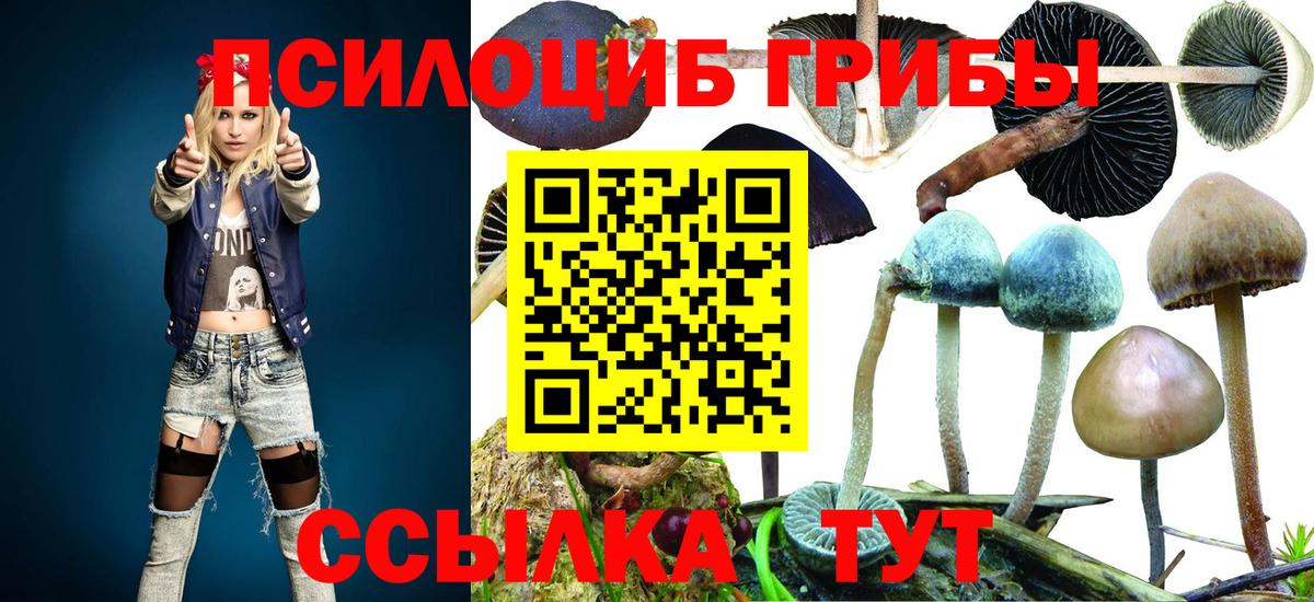 Курчалой  Галлюциногенные грибы Magic Shrooms  Вход с VPN 