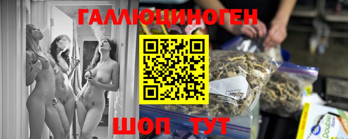 Галлюциногенные грибы Psilocybe Курчалой