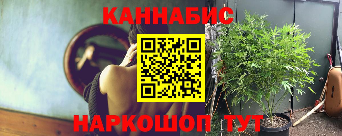 Шишки марихуана ГИДРОПОН Курчалой